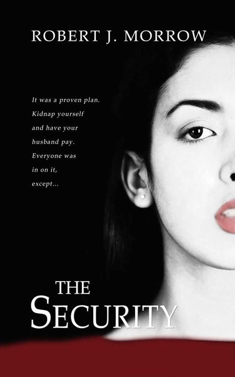 The Security book cover