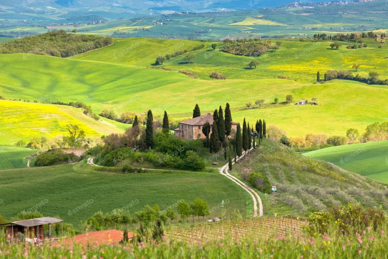 Tuscan vineyard landscape